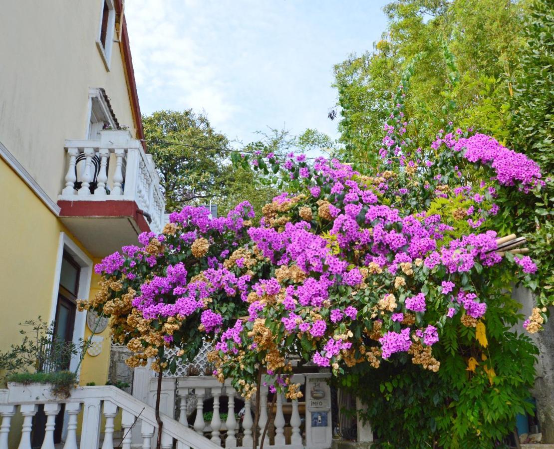 Apartment Vivoda โอปาติยา ภายนอก รูปภาพ
